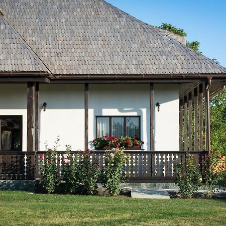 Pensiunea Tara Fagilor Suceava Esterno foto
