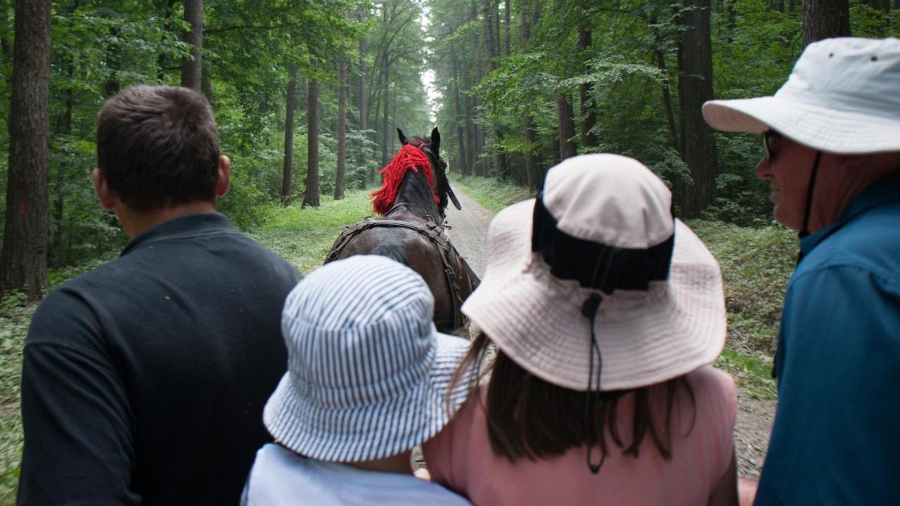 Pensiunea Tara Fagilor Suceava Esterno foto